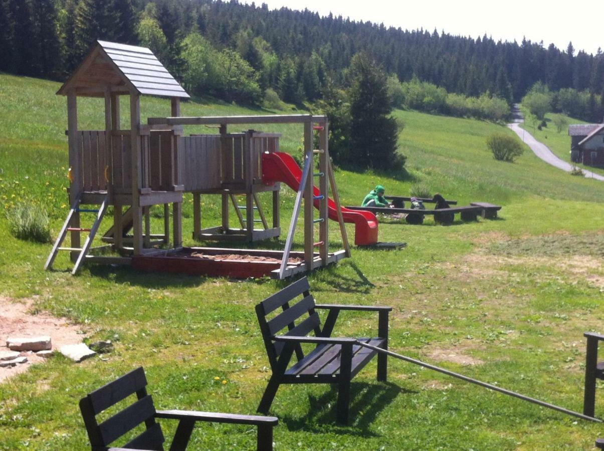 Horsky Penzion Cernava Horní Malá Úpa 外观 照片